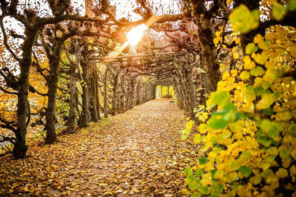Dorint Resort & Spa Bad Brueckenau Staatsbad Bruckenau Luaran gambar